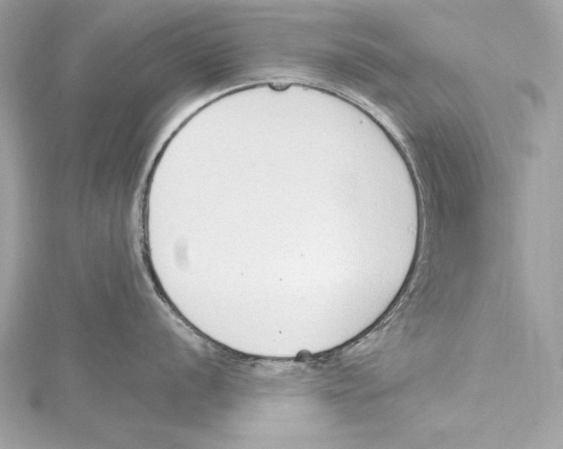 X0000115421056200912011323