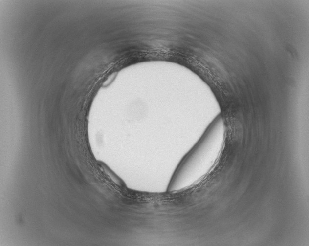 X0000115421057200912011322