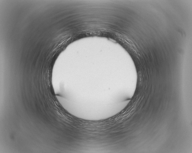 X0000115421060200912011322