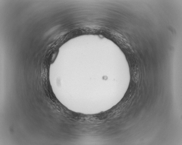 X0000115421061200912011322