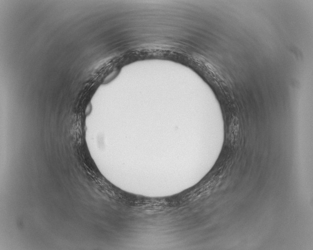 X0000115421062200912011322