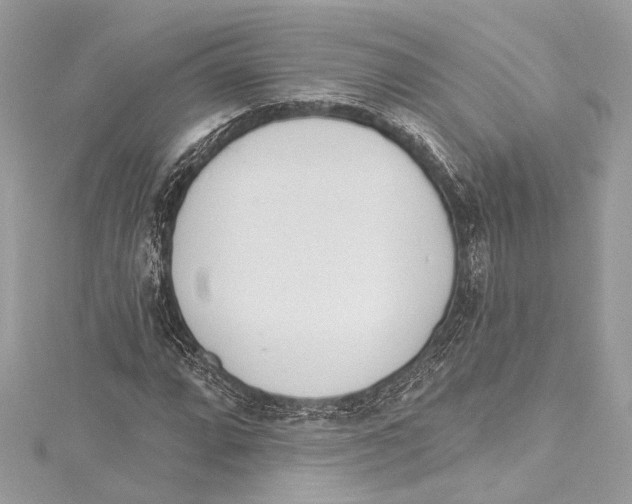 X0000115421064200912011322