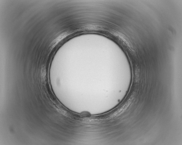 X0000115421065200912011322