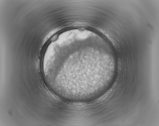 X0000115421066200912011322