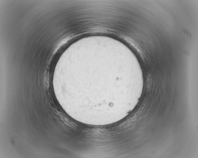 X0000115421067200912011322