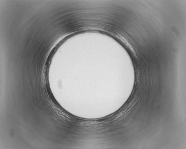 X0000115421068200912011322