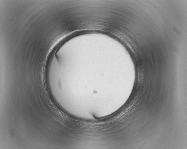 X0000115421069200912011322