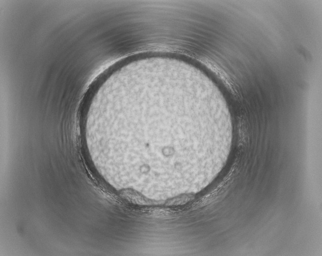 X0000115421070200912011322