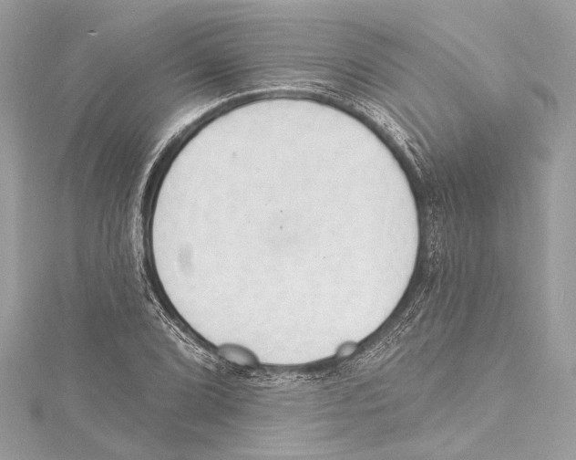 X0000115421072200912011322