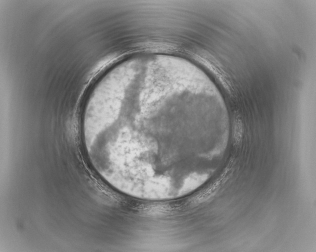 X0000115421074200912011322