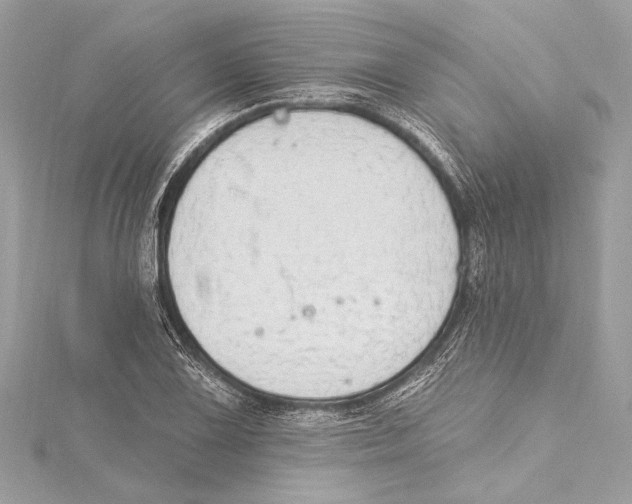 X0000115421075200912011322