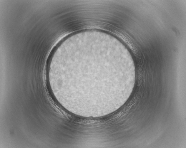 X0000115421076200912011322