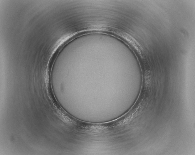 X0000115421077200912011322