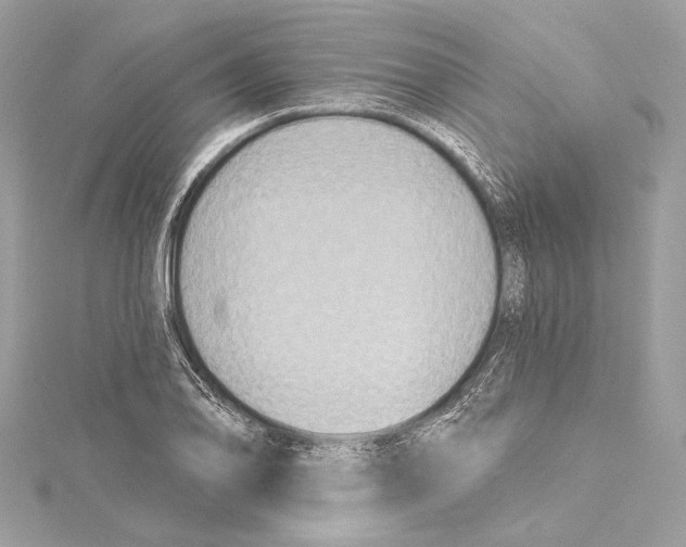 X0000115421078200912011322