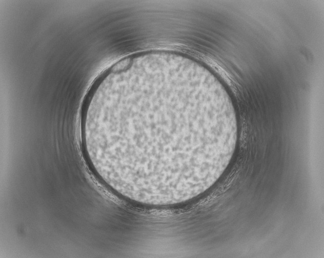 X0000115421080200912011322