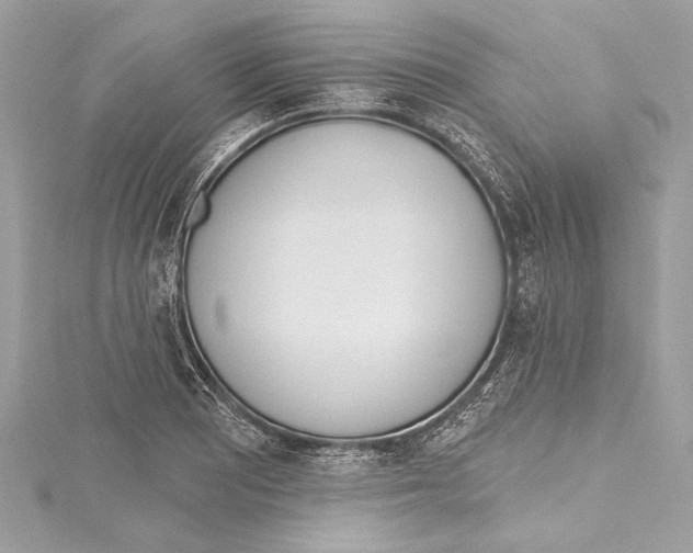 X0000115421081200912011322