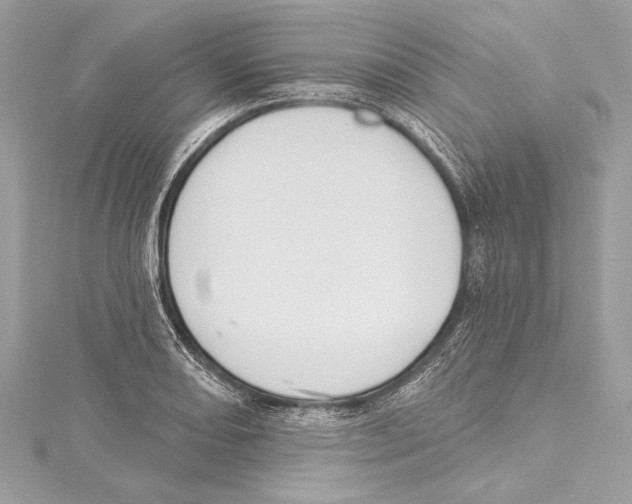 X0000115421082200912011322