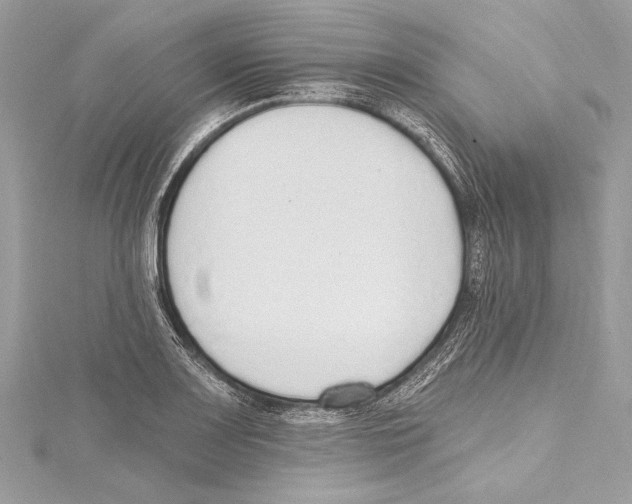 X0000115421083200912011322