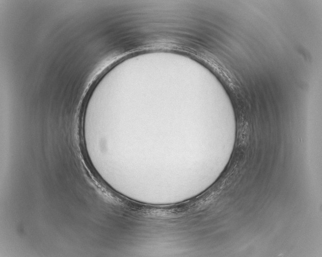 X0000115421086200912011322