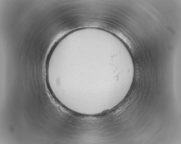 X0000115421088200912011322