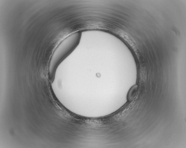 X0000115421089200912011322