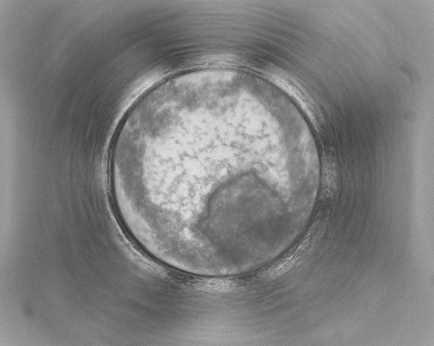 X0000115421090200912011322