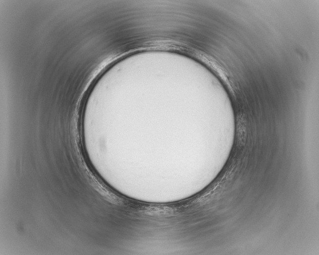 X0000115421091200912011322