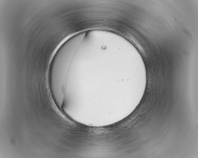 X0000115421092200912011322