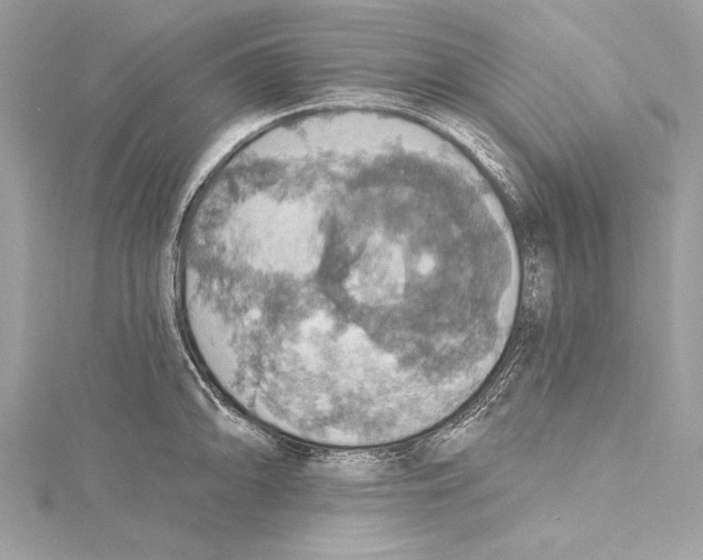 X0000115421094200912011322