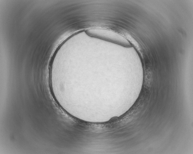 X0000115421096200912011322