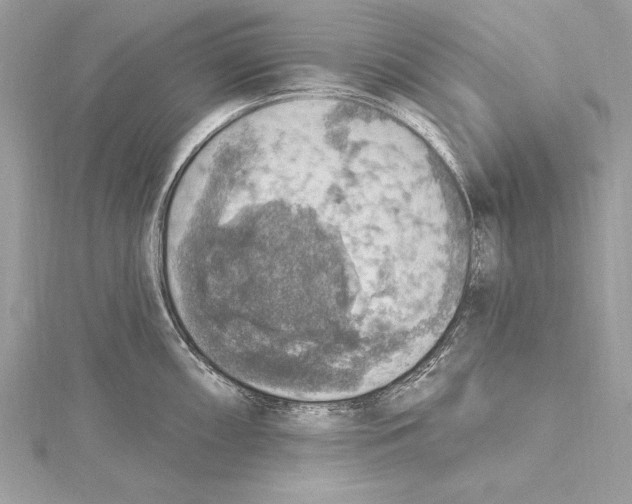 X0000115421098200912011322