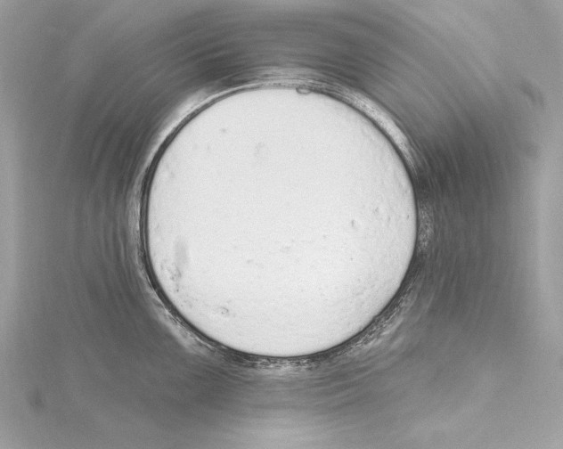 X0000115421099200912011322