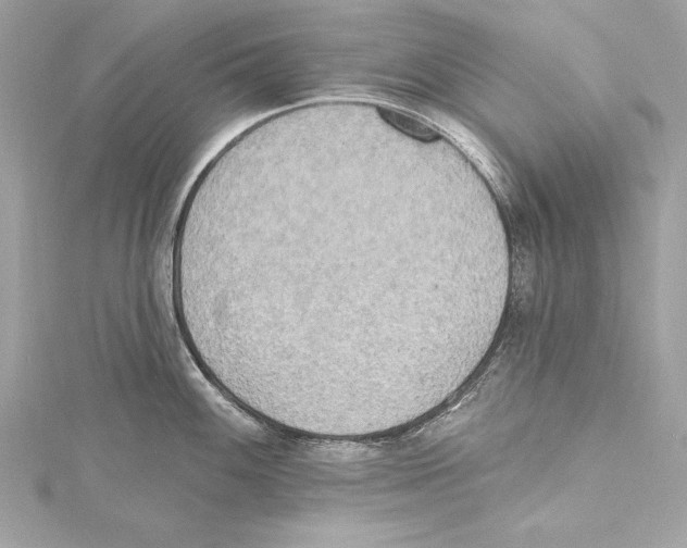 X0000115421100200912011322