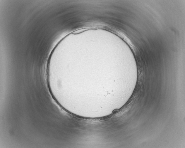 X0000115421103200912011321