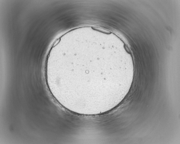 X0000115421104200912011321