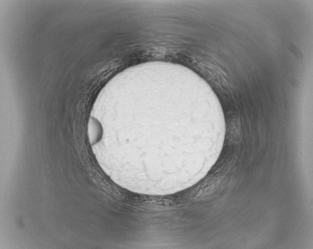 X0000115421105200912011321