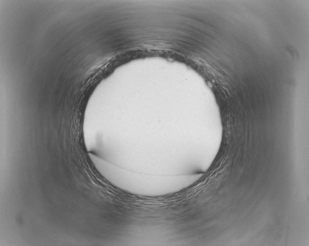 X0000115421110200912011321