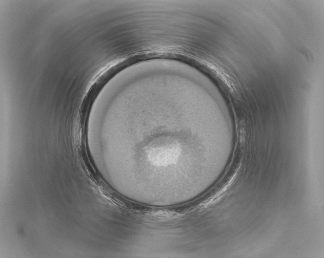 X0000115421117200912011321