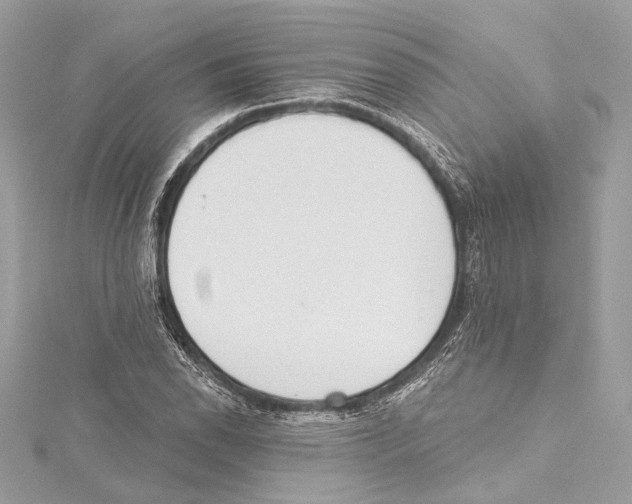 X0000115421118200912011321