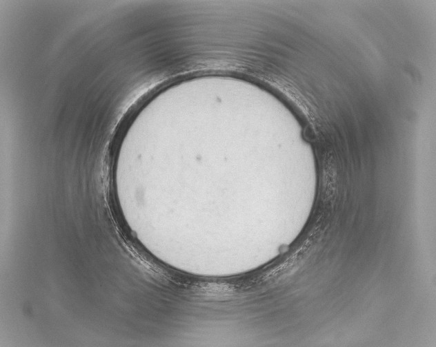 X0000115421119200912011321