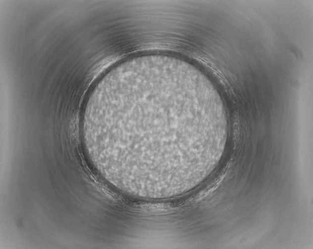 X0000115421121200912011321