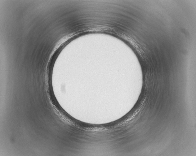 X0000115421122200912011321