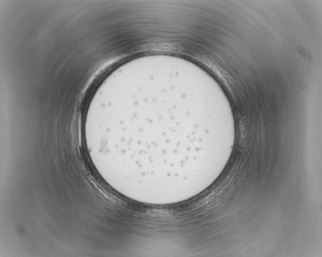 X0000115421123200912011321