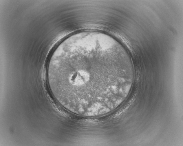 X0000115421125200912011321