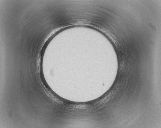 X0000115421126200912011321