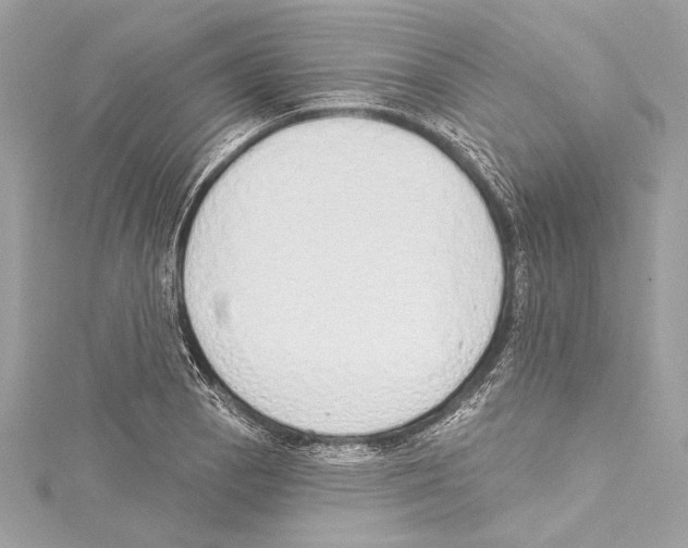 X0000115421129200912011321