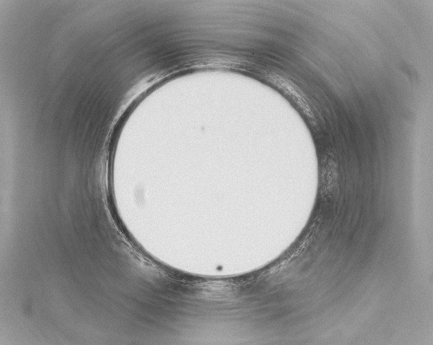 X0000115421130200912011321