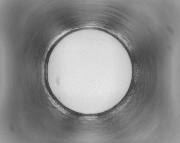 X0000115421134200912011321