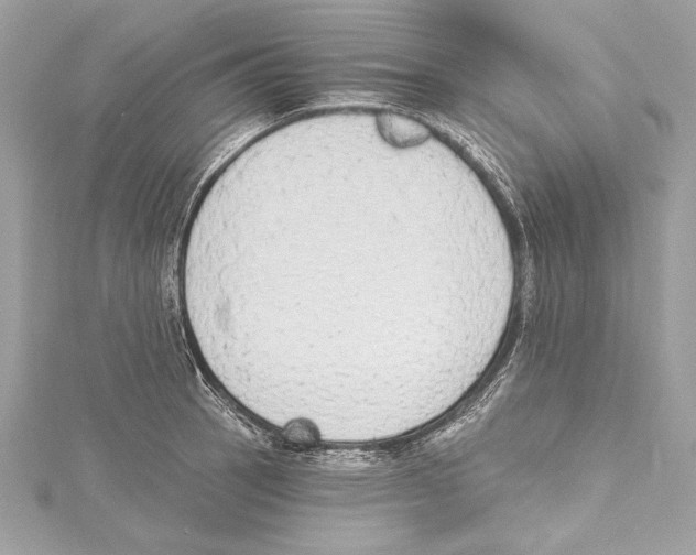 X0000115421137200912011321