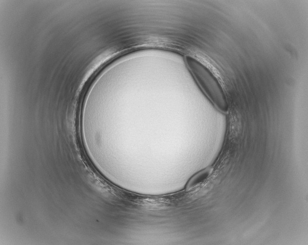 X0000115421138200912011321